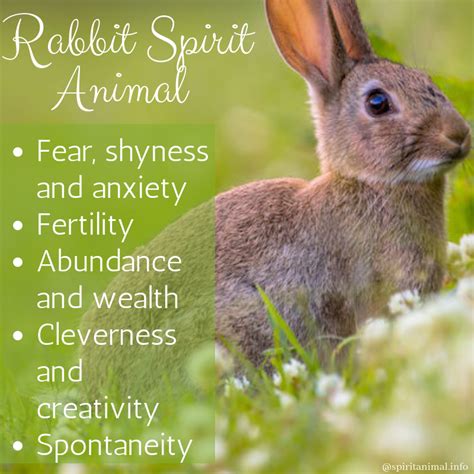 Rabbit Spirit Animal - Spirit Animal Info | Animal totem spirit guides, Animal spirit guides ...