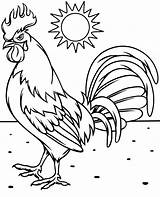 Rooster Coloring Pages For Kids At Tanbeatriceblog Blog sketch template