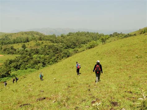 Trekking in Sakleshpur- TuskerValley | Adventure activities, Trekking, Activities