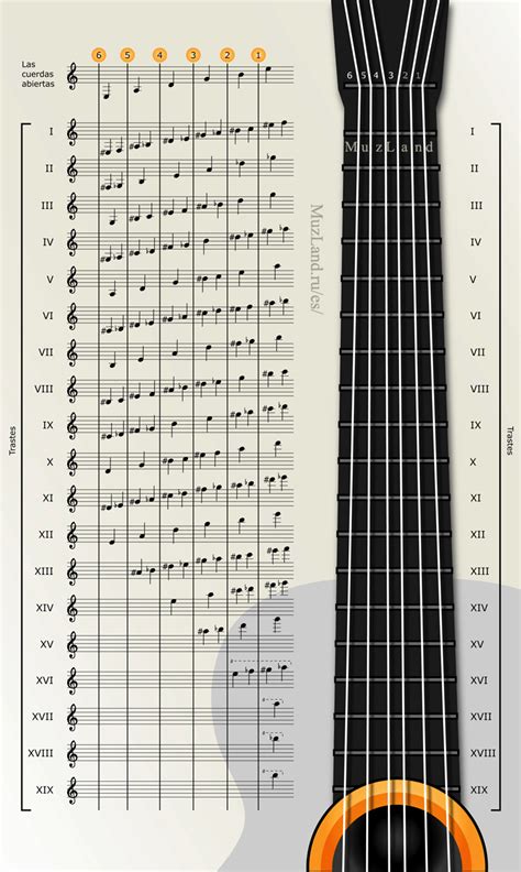 Como Es El Sonido De La Guitarra - Acido