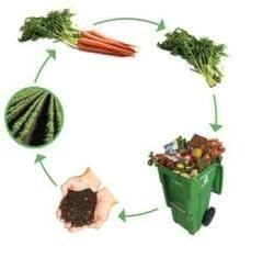 Organic Waste Management Services in Pune