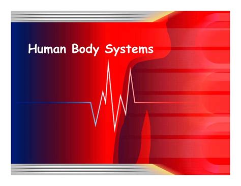 Human Body Systems SKELETAL SYSTEM - DocsLib