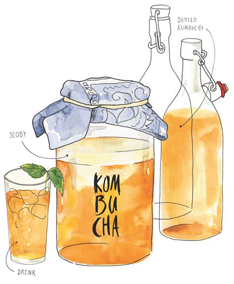 Kombucha: Healthy Tea a Cinch to Brew | The 'Sip Magazine