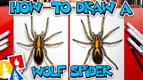 How To Draw A Wolf Spider - Art For Kids Hub