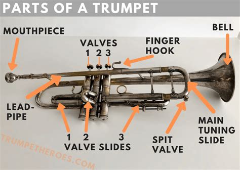 Parts of a Trumpet: The Ultimate Guide to Trumpet Parts - Trumpet Heroes