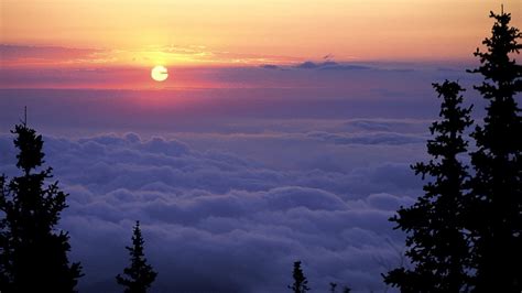 Green pine trees, sunset, sky, clouds, landscape HD wallpaper ...