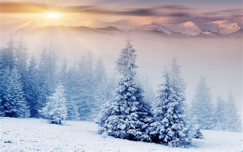 nature, Landscape, Winter, Snow, Mountain, Forest Wallpapers HD / Desktop and Mobile Backgrounds