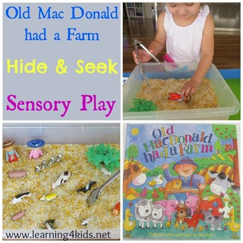 Old Mac Donald Had a Farm Sensory Box | Learning 4 Kids