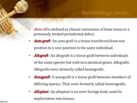 Allograft