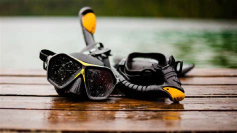 The 9 Best Brands For High Quality Freediving Gear | Freediving Central