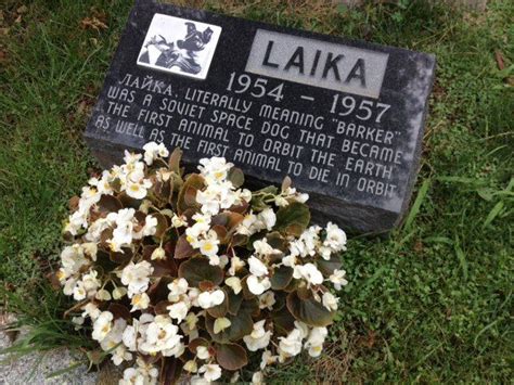 Laika's memorial stone | Rad ab