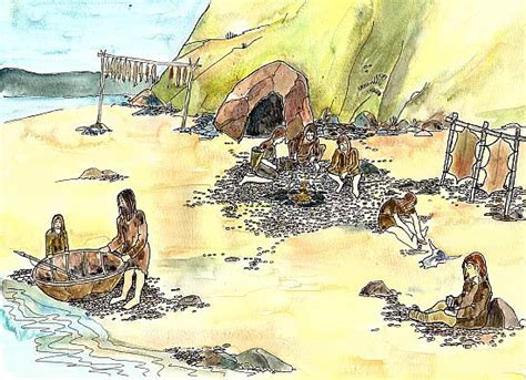 Tarradale Through Time | Mesolithic Shell Middens