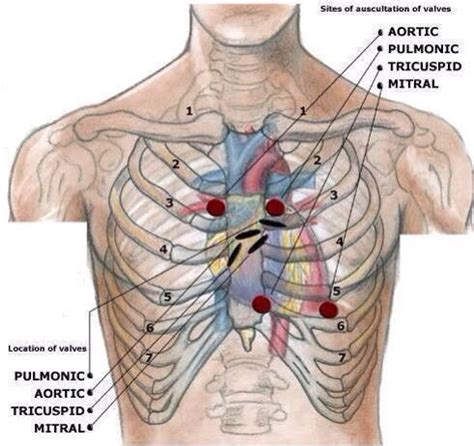 Pin en MedFacts.CAUTION (Some images may be difficult to view for non ...