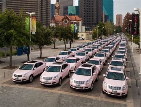 Pink Cadillacs gather for Mary Kay cosmetics rally