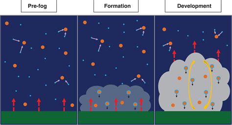 How important are aerosol–fog interactions for the successful modelling of nocturnal radiation ...