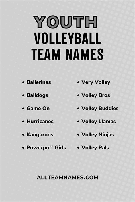 111 Volleyball Team Names That Are A Hit