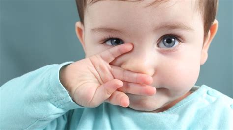 Baby eye colour: All your questions answered by professionals - Today's Parent