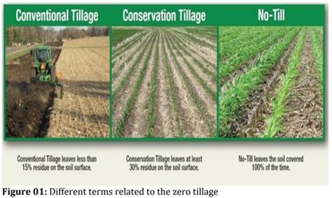 Zero Tillage - Optimize IAS