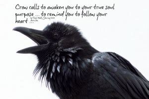 The Crow Quotes. QuotesGram