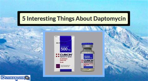 Five Interesting Things To Know About Daptomycin