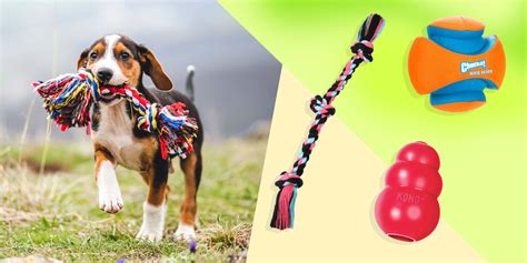 Best Dog Toys To Stop Boredom | Wow Blog