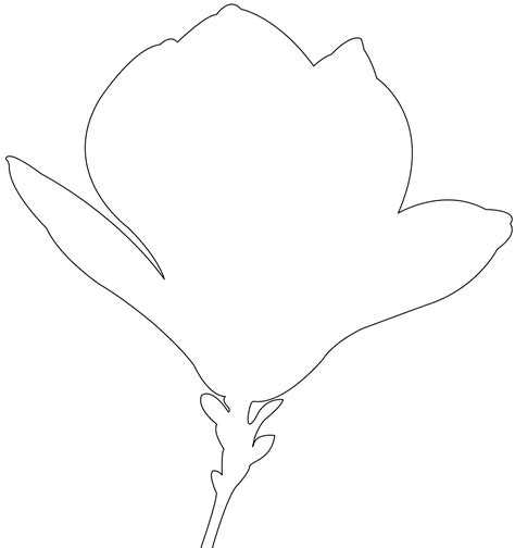 Magnolia Outline Svg