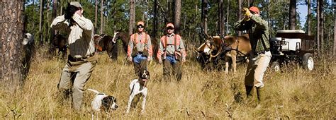 South Georgia Quail Hunting Preserve: History Of Pine Hill Plantation Pine Hill Plantation