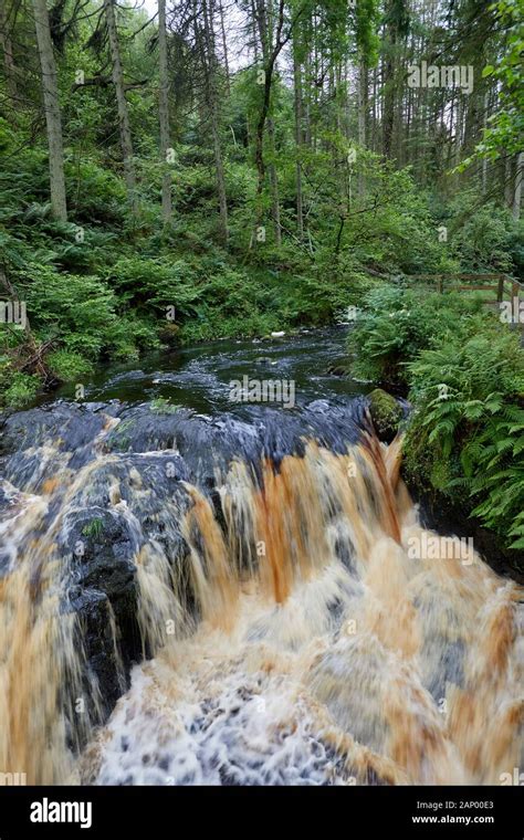 Waterfalls in Glenariff Forest Park, Co Antrim Stock Photo - Alamy