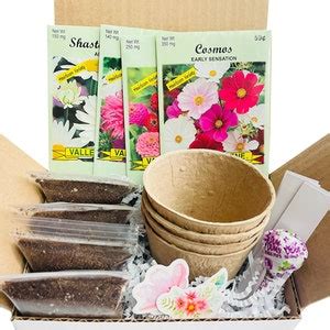 Butterfly Garden Kit Butterfly Garden Seed Kit Gift for Gardeners Butterfly Garden Seeds Garden ...