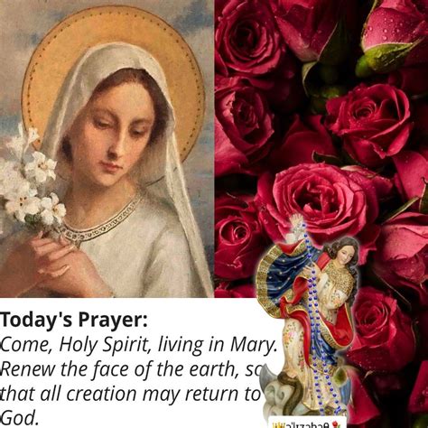 Pin on True Devotion to Mary