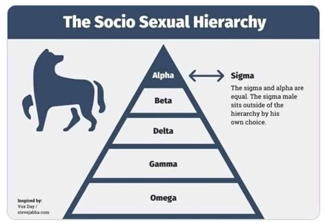 The Lone Wolf: Who Is He? The Sigma Male Personality Traits You Need To Know | Sigma male, Alpha ...