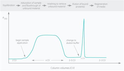 Antibody purification | Cytiva