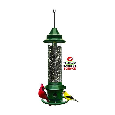 Squirrel Buster Plus Hanging Metal Squirrel-Resistant Bird Feeder 5.1-lb Seed Capacity at Lowes.com