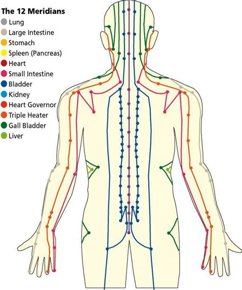 Scientific research has shown that there are energy meridians in the human body - SATORY – The ...