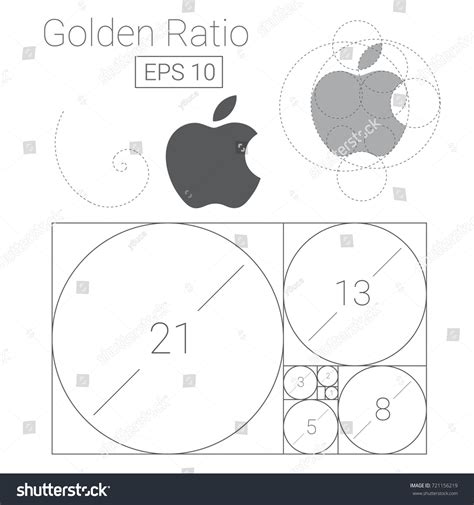 Golden Ratio Apple Stock Photos and Pictures - 23 Images | Shutterstock