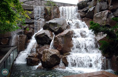 Waterfall Garden Park | Serenity in the Heart of Seattle | Seattle Bloggers