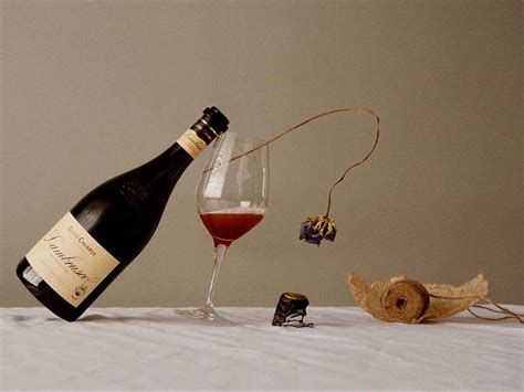 Lambrusco Reviews - Perfect Italian Wine for All Foods - FlatDEN