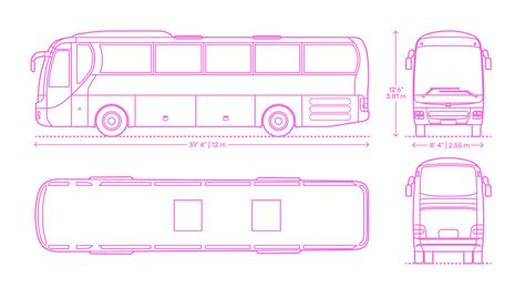 School Bus Dimensions Exterior