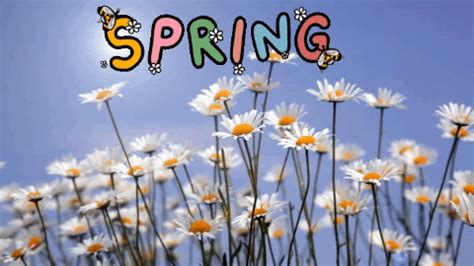 spring time | Tag | PrimoGIF