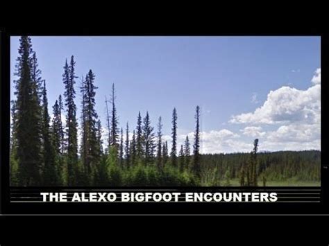 beyond-creepy | Alberta Sasquatch