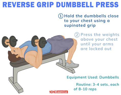 underhand dumbbell chest press > OFF-72%