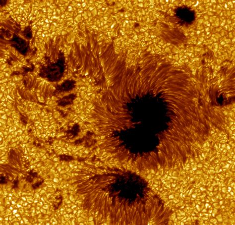The Sun is About to Flip Its (Magnetic) Poles – Science World