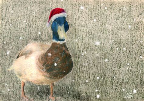 Christmas Duck by inkyfish on DeviantArt