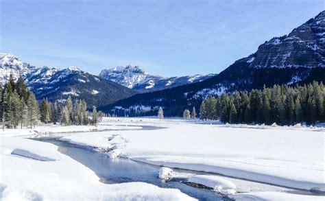 a river running through a snow covered forest filled with trees and mountains in the background