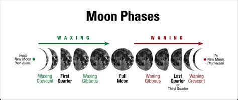 Untitled Document | Moon phases names, Moon phases, Moon