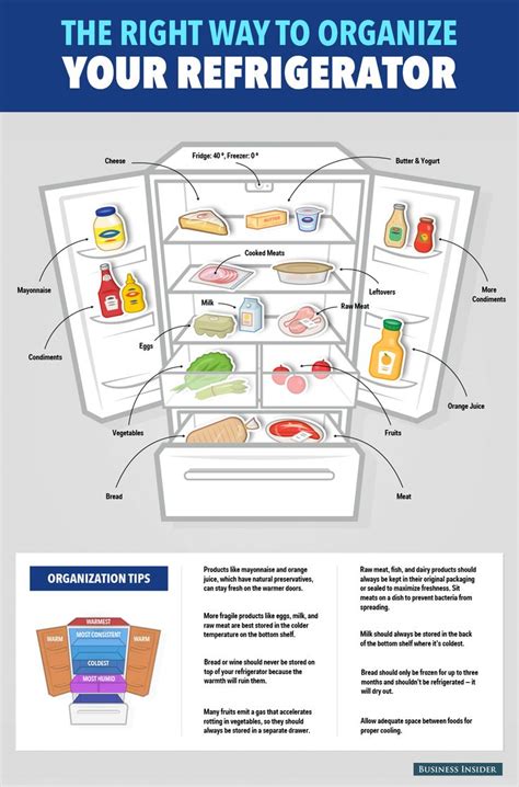 Here's The Right Way To Organize Your Refrigerator | Fruits and vegetables, Vegetables and Graphics