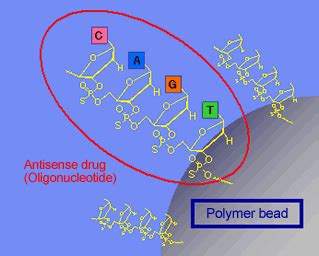 Particles for Nucleic Acid Synthesis | Nitto in Japan (English)