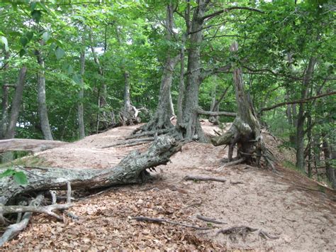 A Hiker's Journal: Ludington State Park