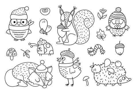 Vector black and white Autumn forest animals and insects set. outline ...