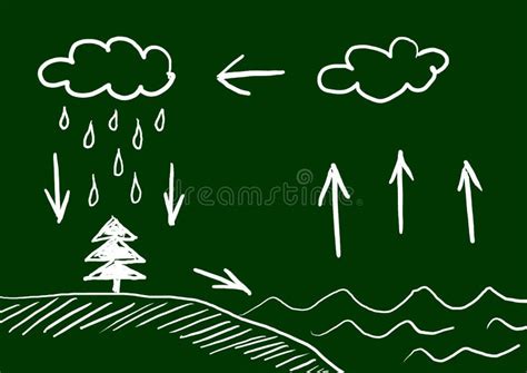 Water cycle stock vector. Illustration of cartoon, green - 22397536